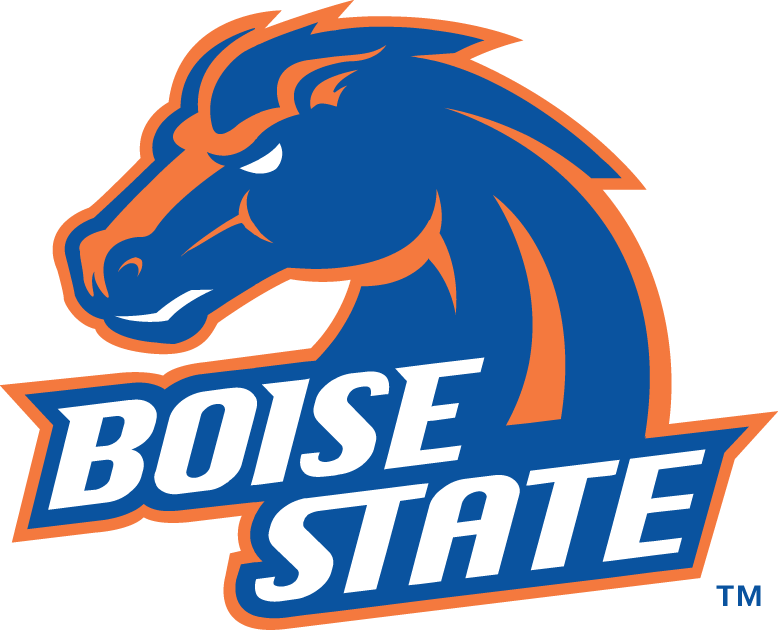 Boise State Broncos 2002-2012 Alternate Logo v3 iron on transfers for fabric